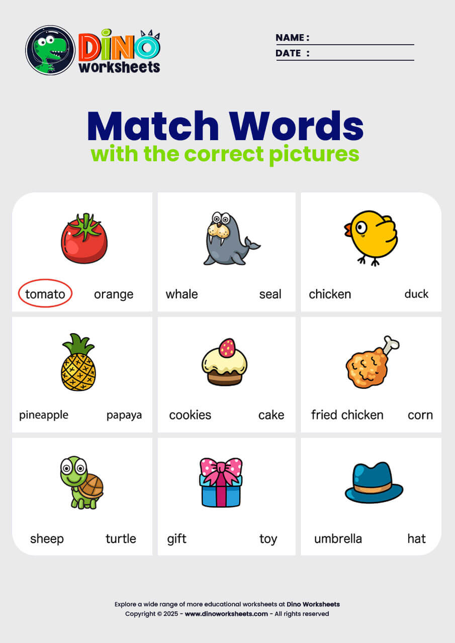 Match word with picture English Worksheets - Dino Worksheets