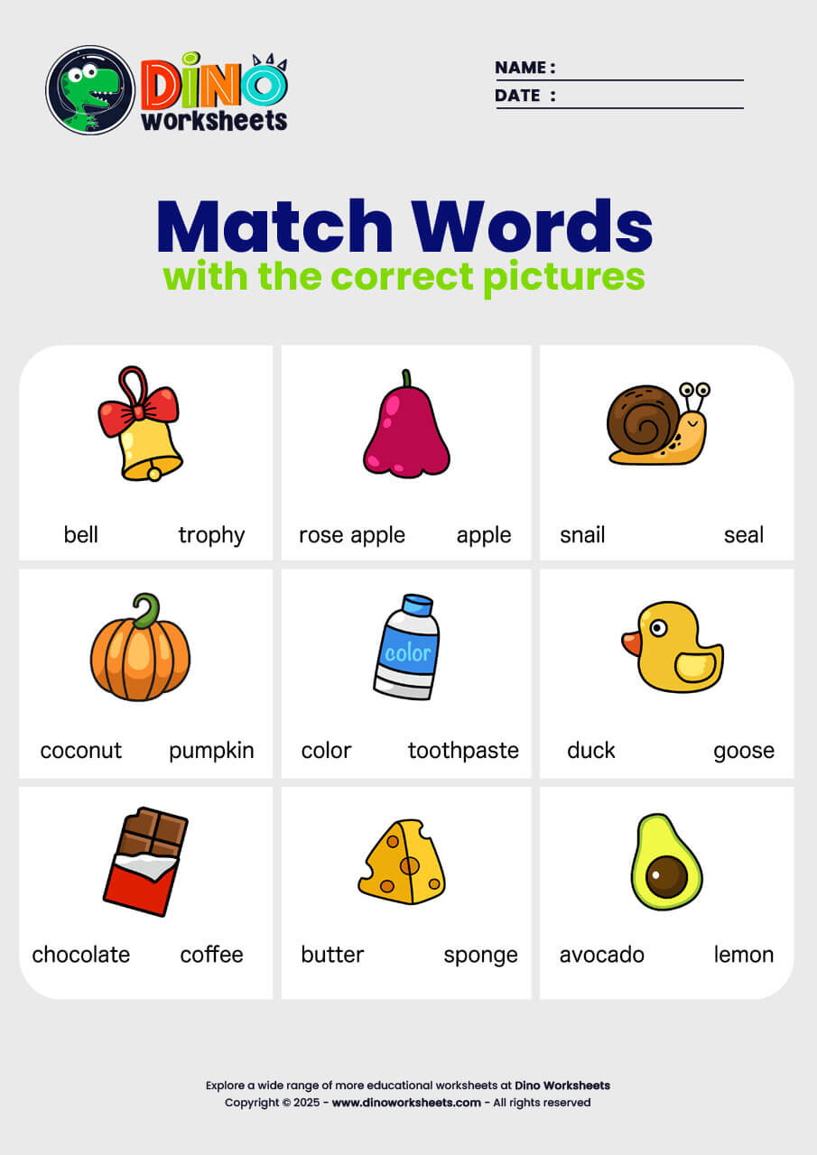 Match word with picture English Worksheets - Dino Worksheets