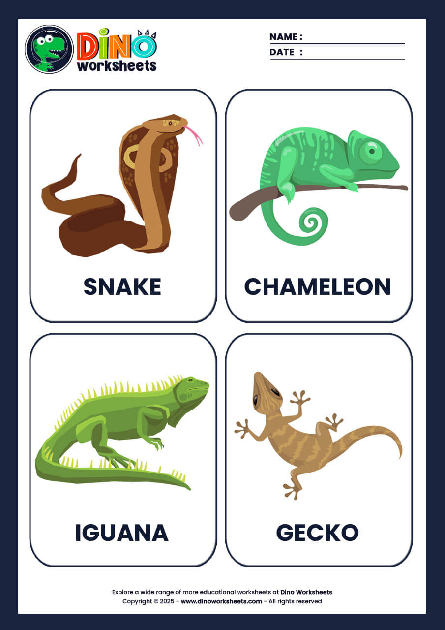 Reptiles Flashcards for Kids
