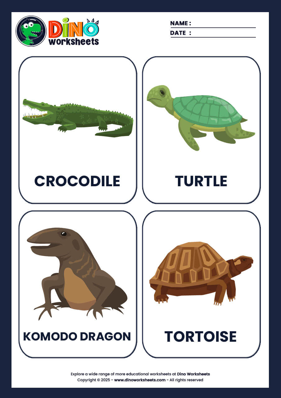 Reptiles Flashcards for Kids